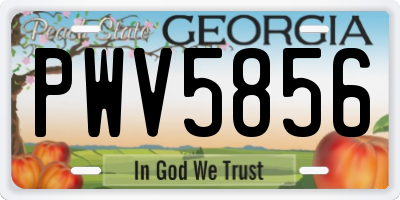 GA license plate PWV5856