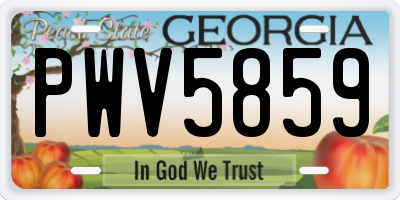 GA license plate PWV5859