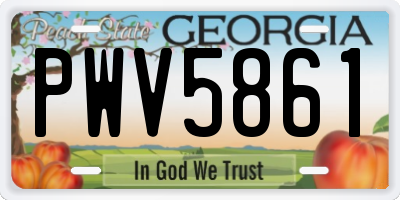GA license plate PWV5861