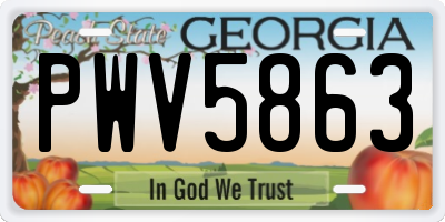 GA license plate PWV5863