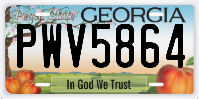 GA license plate PWV5864