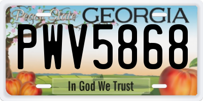 GA license plate PWV5868