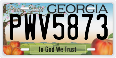GA license plate PWV5873