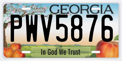 GA license plate PWV5876