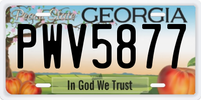 GA license plate PWV5877