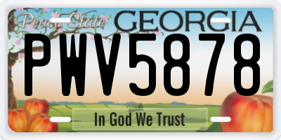 GA license plate PWV5878
