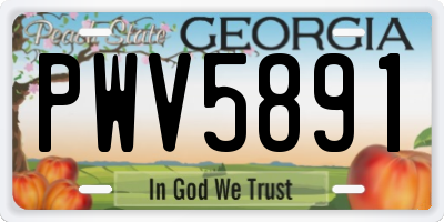 GA license plate PWV5891