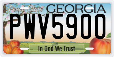 GA license plate PWV5900