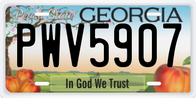 GA license plate PWV5907