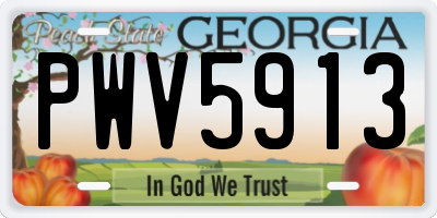 GA license plate PWV5913