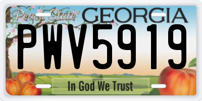 GA license plate PWV5919