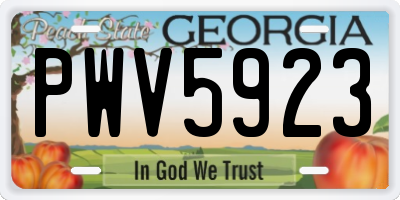 GA license plate PWV5923