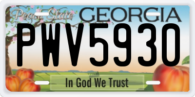 GA license plate PWV5930