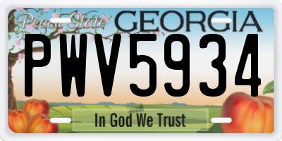 GA license plate PWV5934