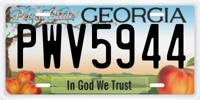 GA license plate PWV5944