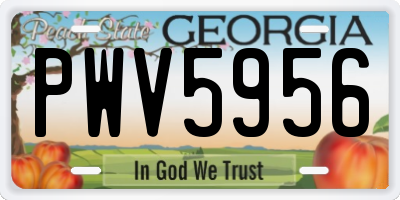 GA license plate PWV5956