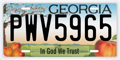 GA license plate PWV5965