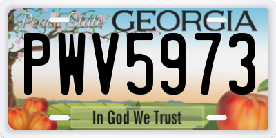 GA license plate PWV5973