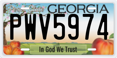 GA license plate PWV5974