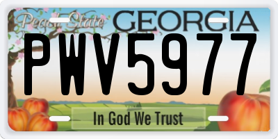GA license plate PWV5977