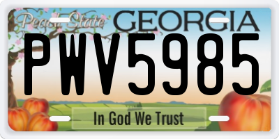 GA license plate PWV5985