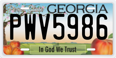 GA license plate PWV5986