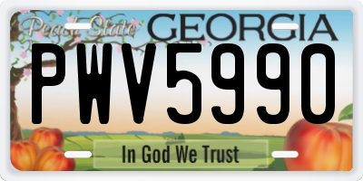 GA license plate PWV5990