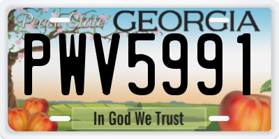 GA license plate PWV5991