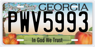GA license plate PWV5993