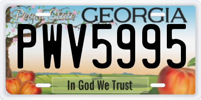 GA license plate PWV5995