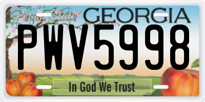 GA license plate PWV5998