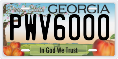 GA license plate PWV6000