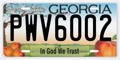 GA license plate PWV6002