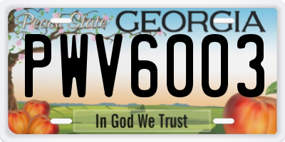 GA license plate PWV6003