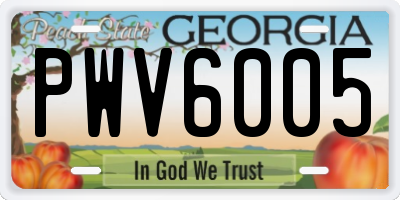 GA license plate PWV6005