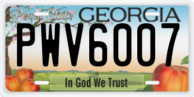 GA license plate PWV6007