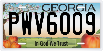 GA license plate PWV6009