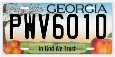 GA license plate PWV6010