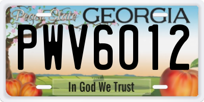 GA license plate PWV6012
