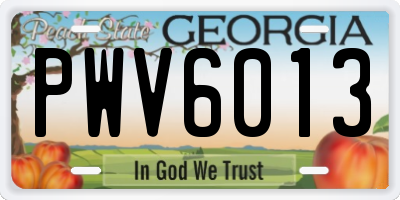 GA license plate PWV6013