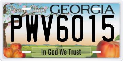 GA license plate PWV6015