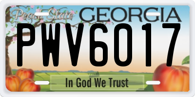 GA license plate PWV6017