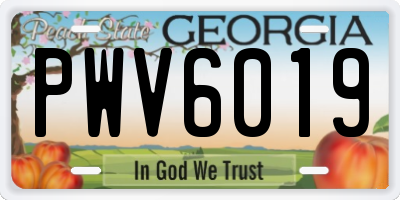 GA license plate PWV6019