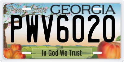 GA license plate PWV6020