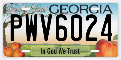 GA license plate PWV6024