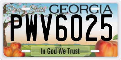 GA license plate PWV6025