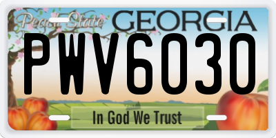 GA license plate PWV6030