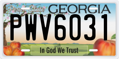 GA license plate PWV6031
