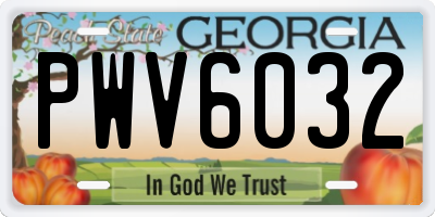 GA license plate PWV6032