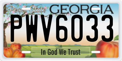 GA license plate PWV6033